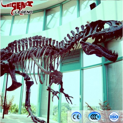 Museum decoration life size dinosaur skeleton from Zigong